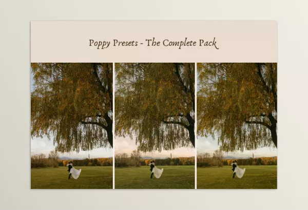 Ashlynlee – Poppy Presets Complete Pack Download