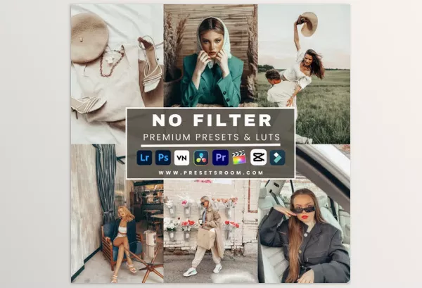 Presetsroom – No Filter lightroom presets and luts collection Download