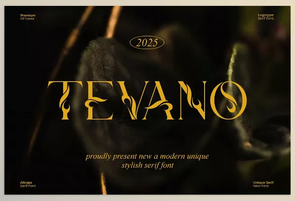 Creative Market – Tevano Modern Unique Serif Font Download 291534532